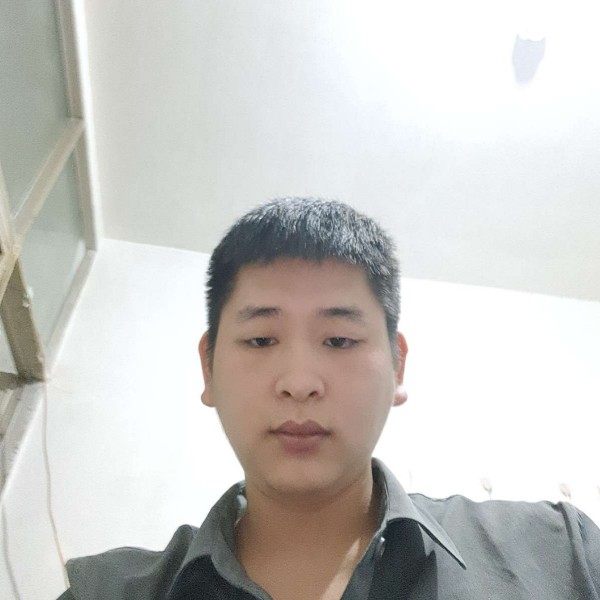 彩色愿含羞草的照片