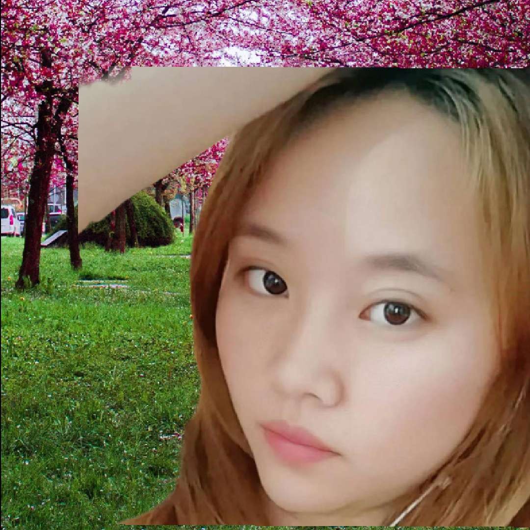 夕阳浅吻洁净的照片