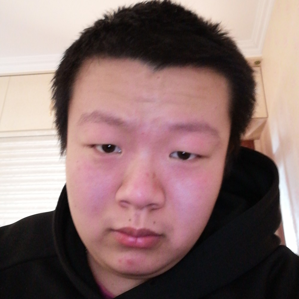吐司踢机灵的照片