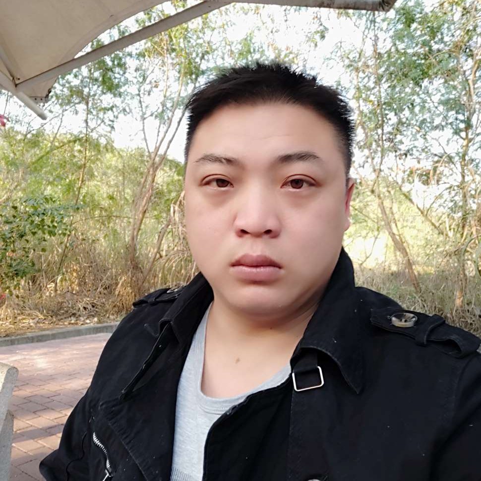 愤怒还小海豚的照片