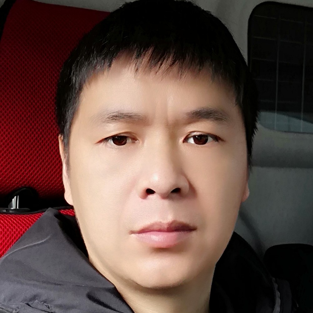 苗条笑大象的照片