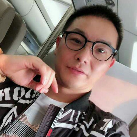 悠闲的松柏的照片
