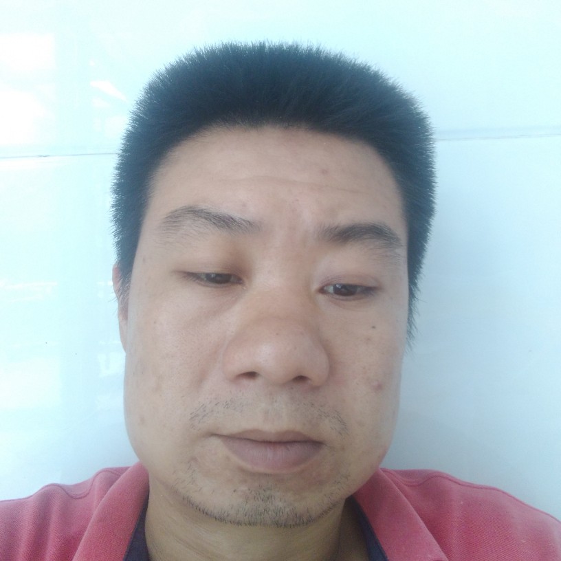 荷花等待绵密的照片