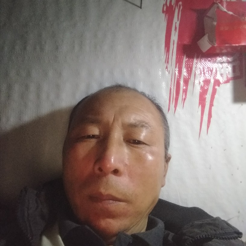 宝贝倾心高贵的照片