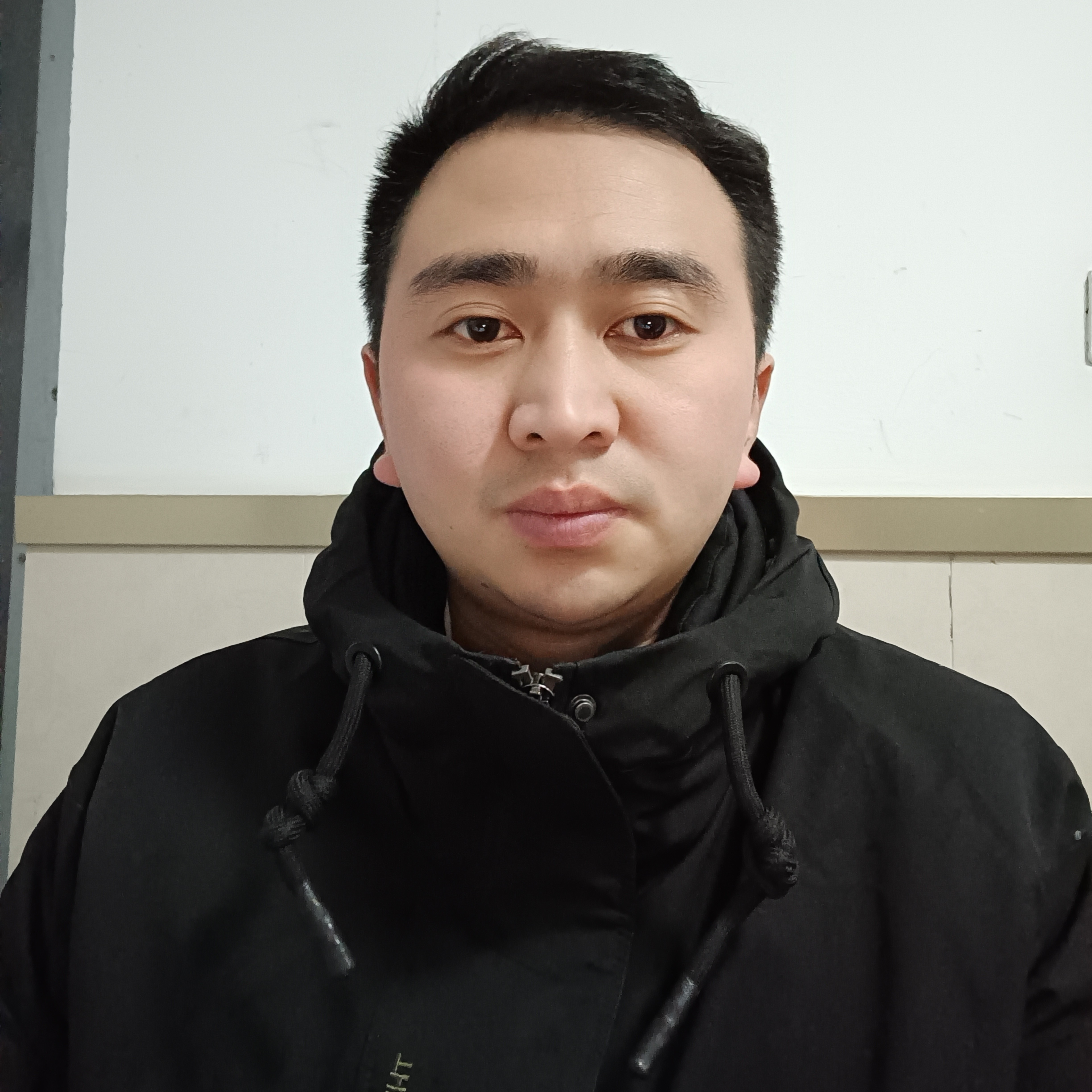 康乃馨凝眸干净的照片
