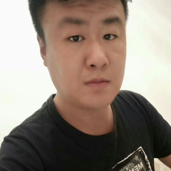 昏睡大象的照片