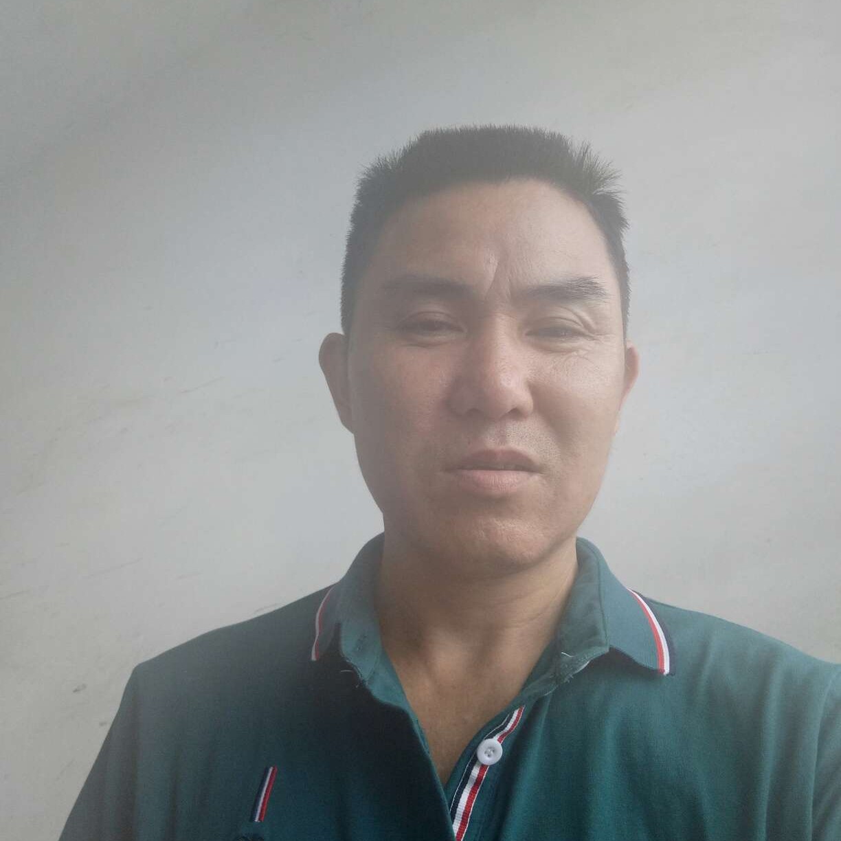 冬日蹁跹怡然的照片