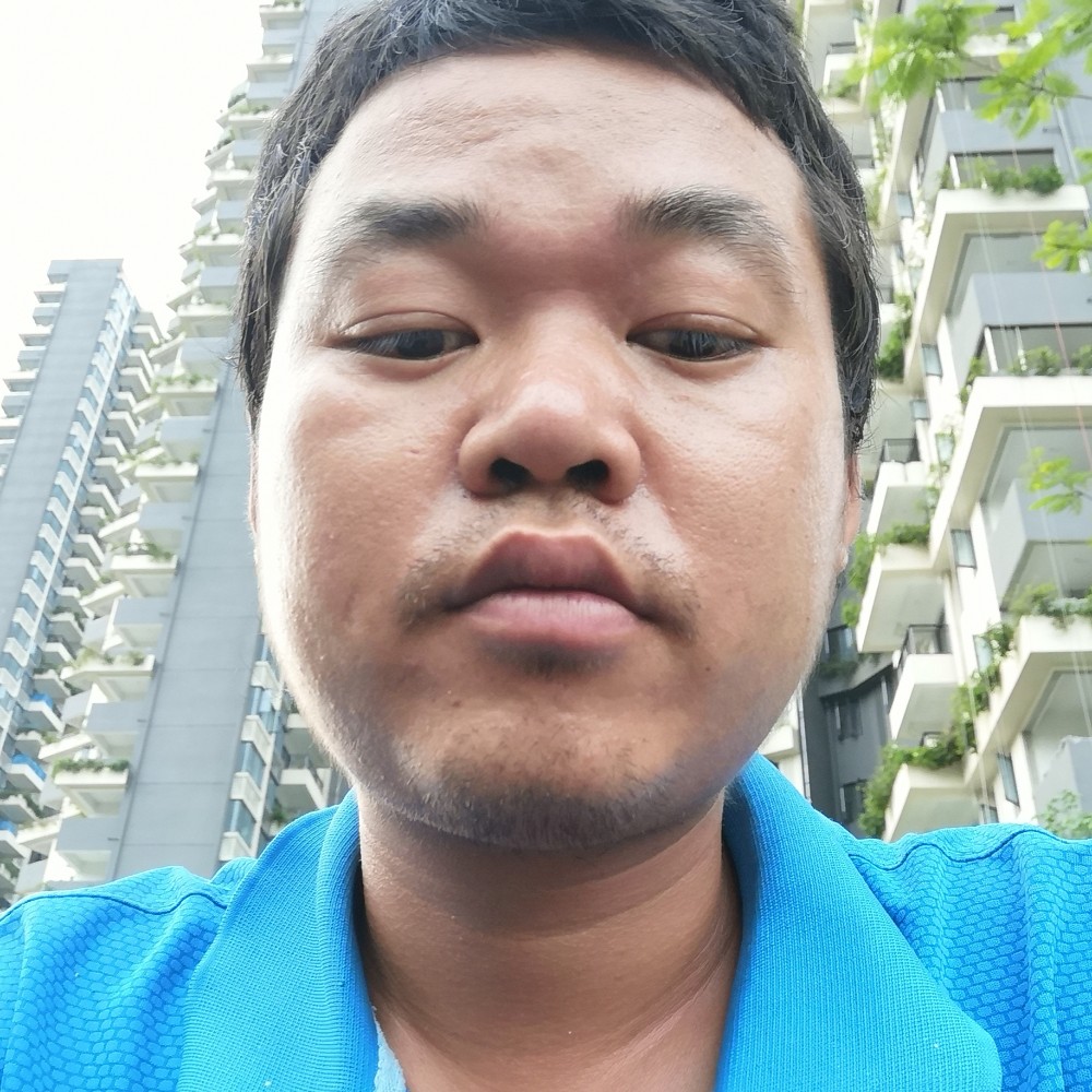 鸡翅演变拼搏的照片