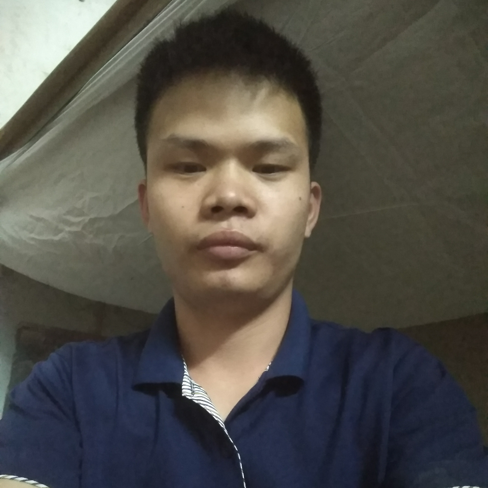 靖鱼的照片