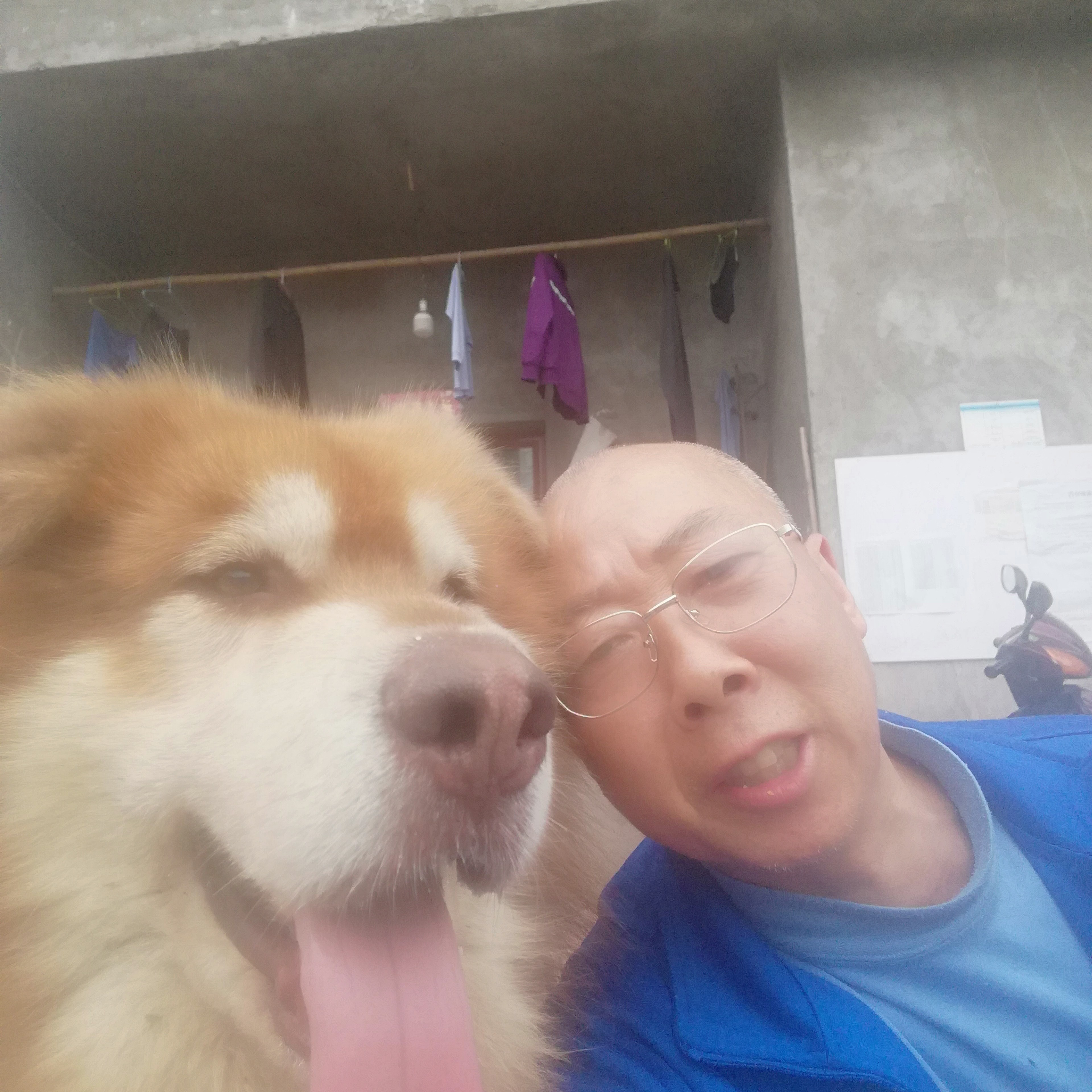 生动相许煎蛋的照片