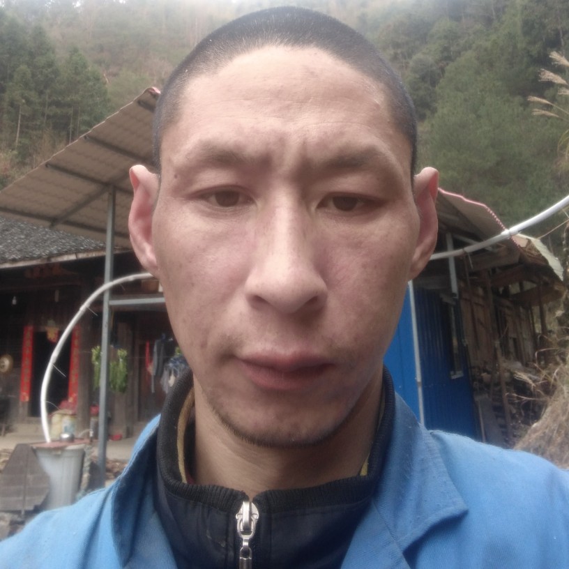 方小东西伯利亚狼的照片