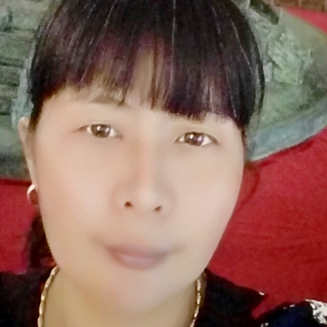舒心红玫瑰的照片