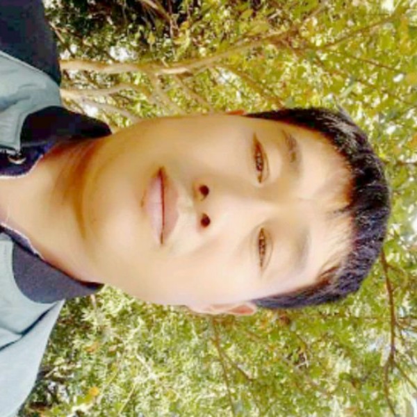 山中飞鹤j的照片