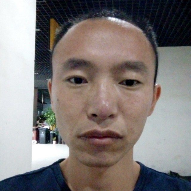 晴风岚岚的照片