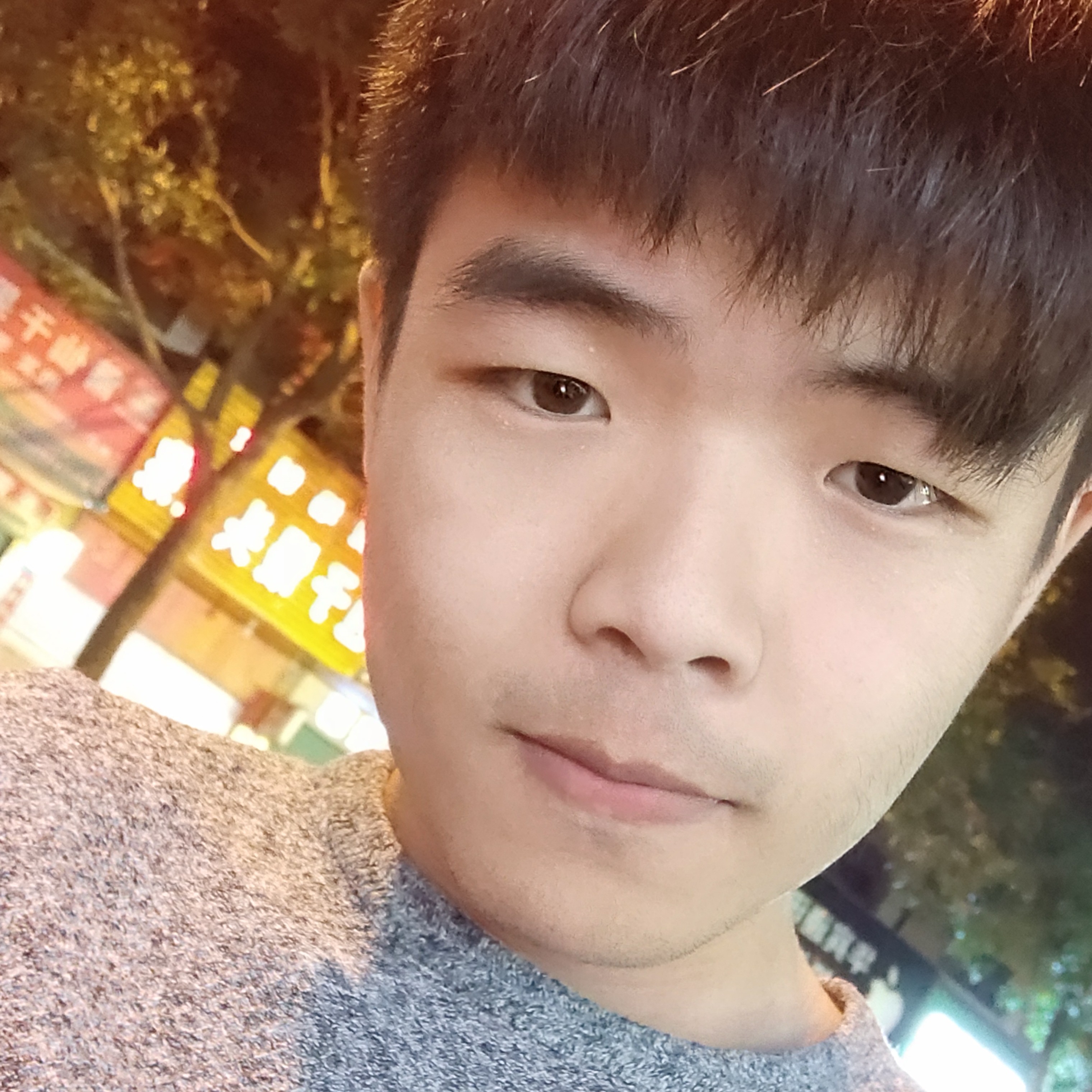 平淡回首树叶的照片