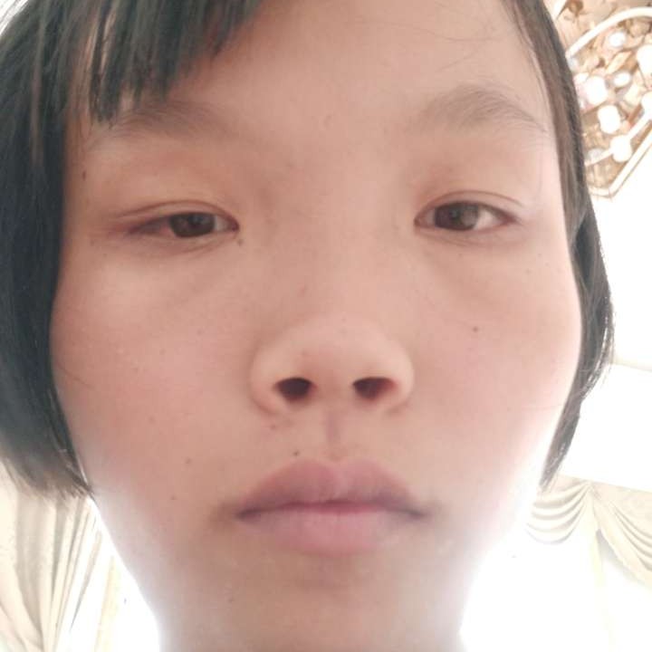 斑马挽手迷路的照片