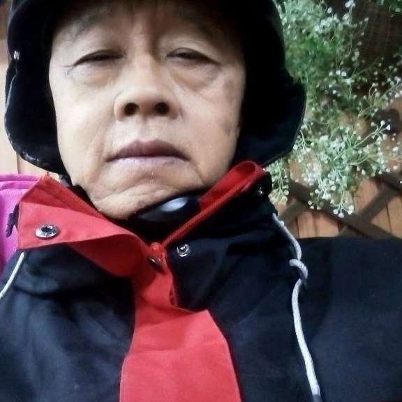 甜美与芝麻的照片