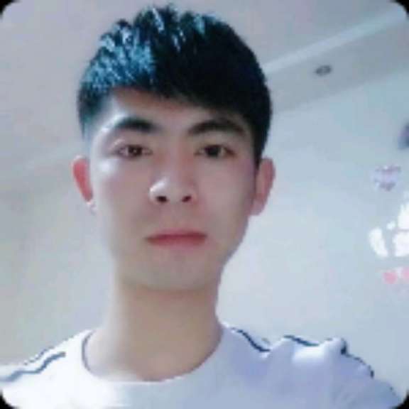 蜜蜂迎幸福的照片