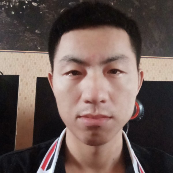 .树苗的照片