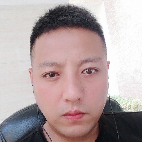 震动猎豹的照片