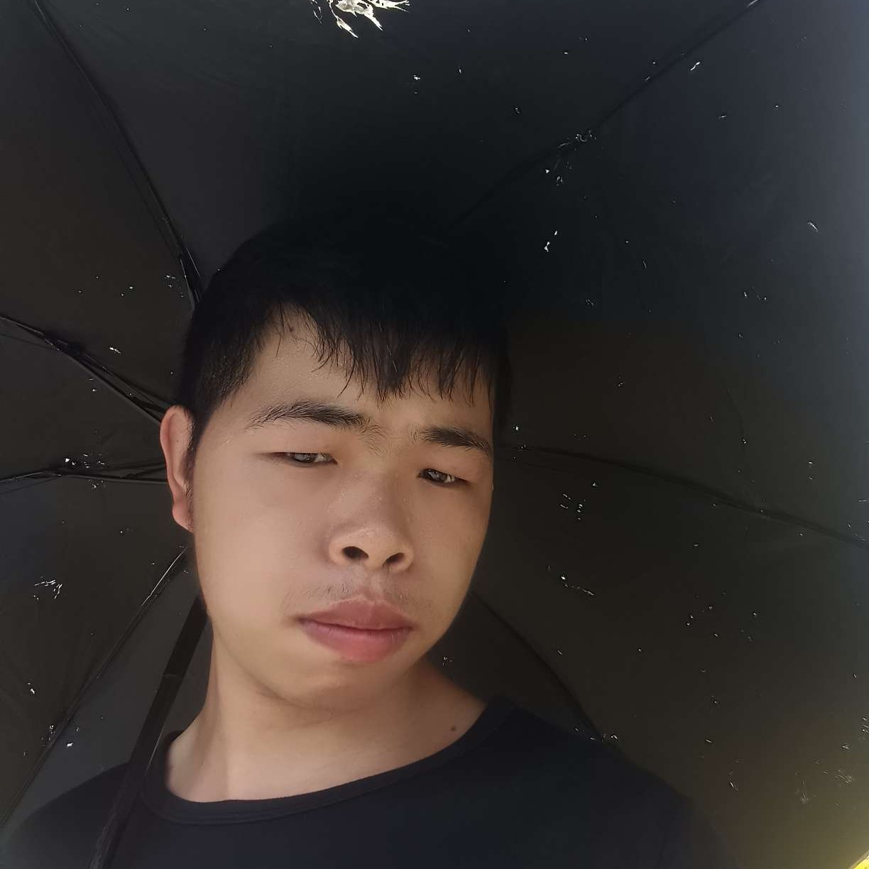 冷酷那西牛的照片