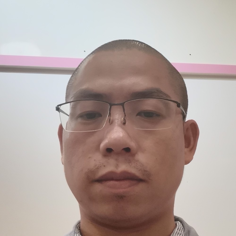 重要挽手小海豚的照片