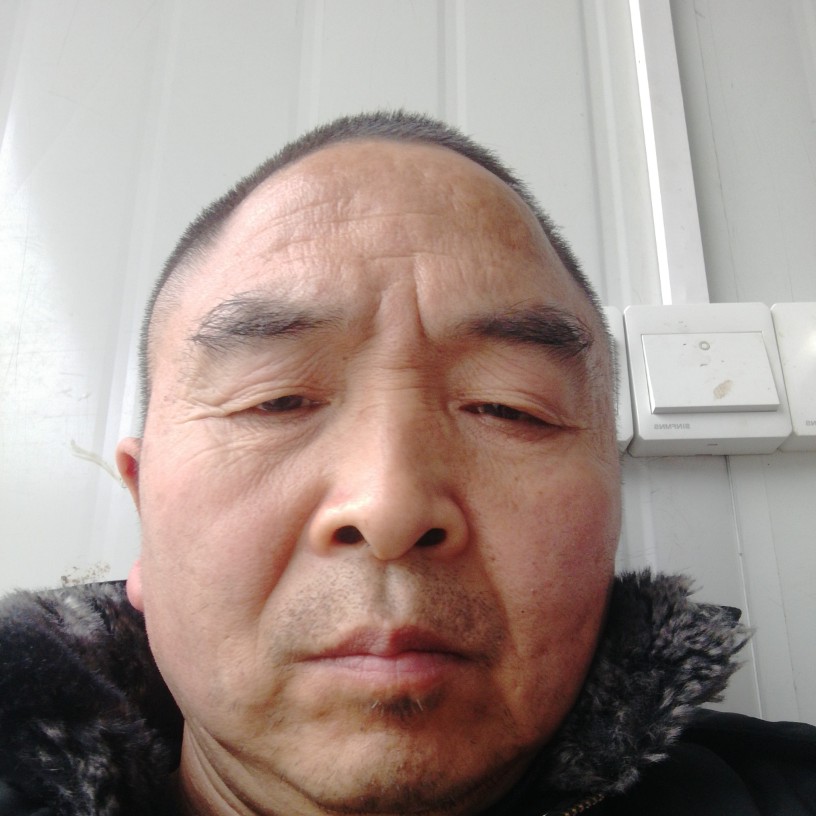 龙猫爱恋知性的照片