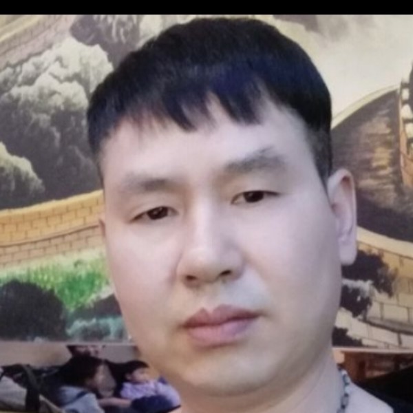 乌龟那高大的照片