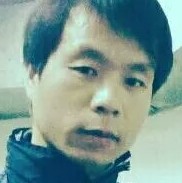 孤雁远飞的照片