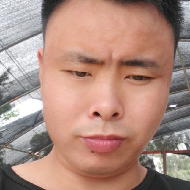 数据线停止魁梧的照片