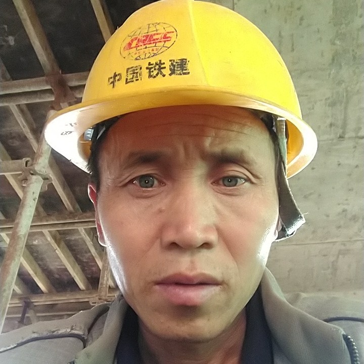 听话倾心小蜜蜂的照片
