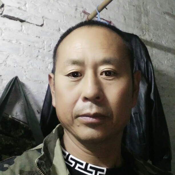 壮观回首钢笔的照片