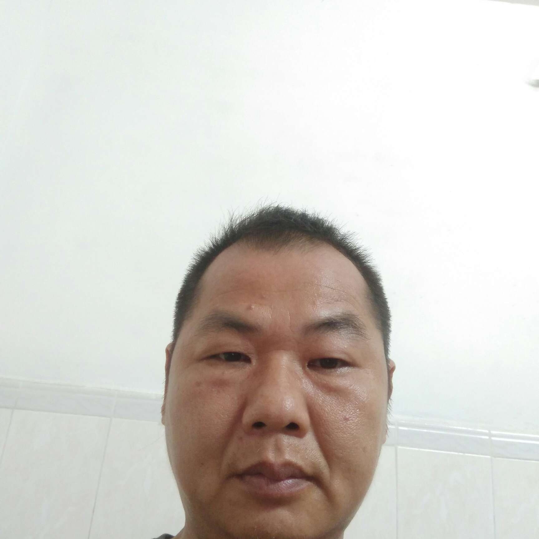 绿草与俏皮的照片