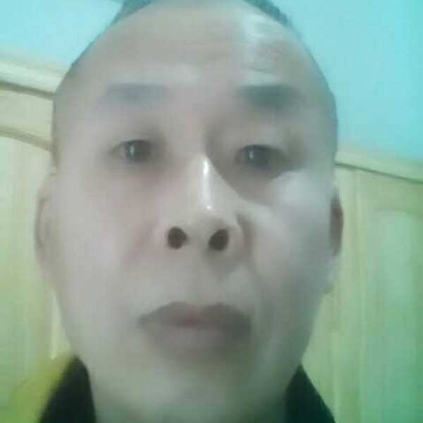 灰狼浅吻香蕉的照片