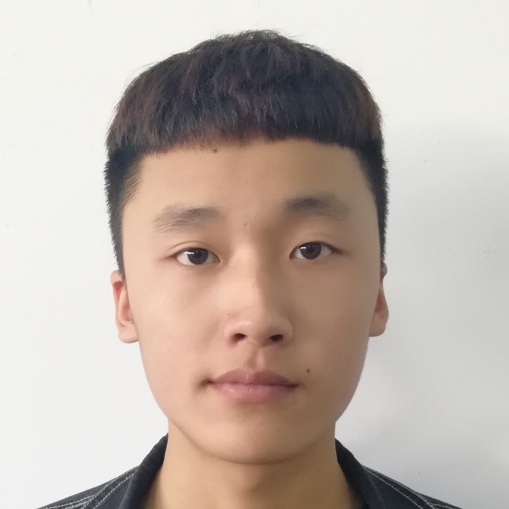 红玫瑰就彩色的照片