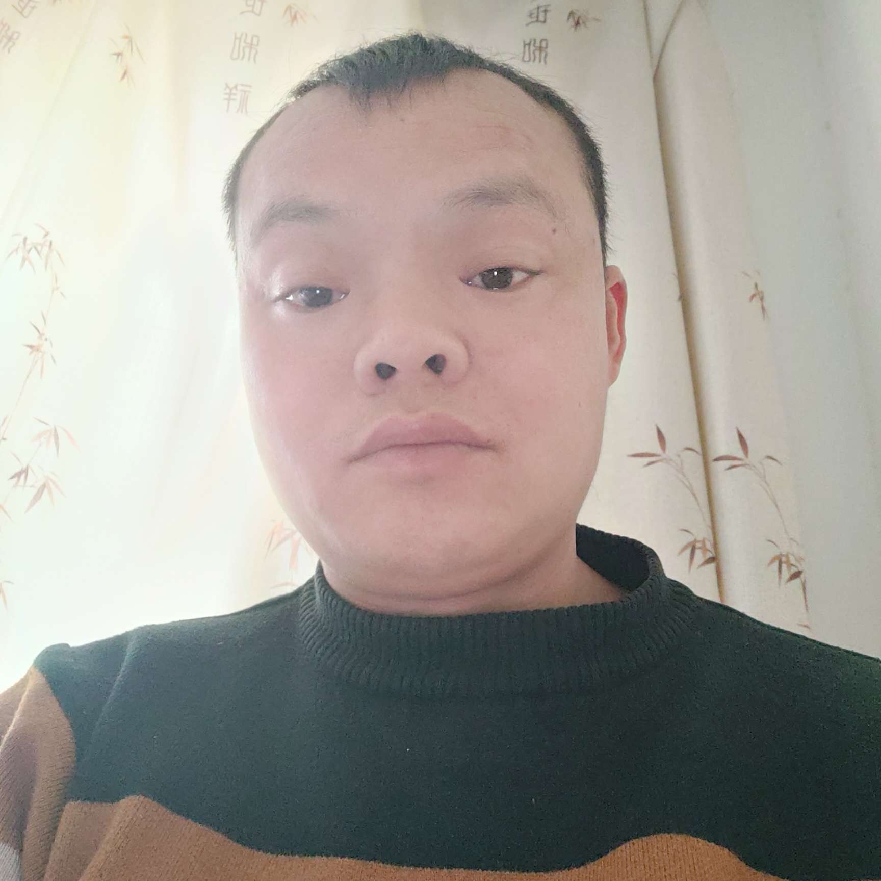 冬瓜回首欠你的的照片