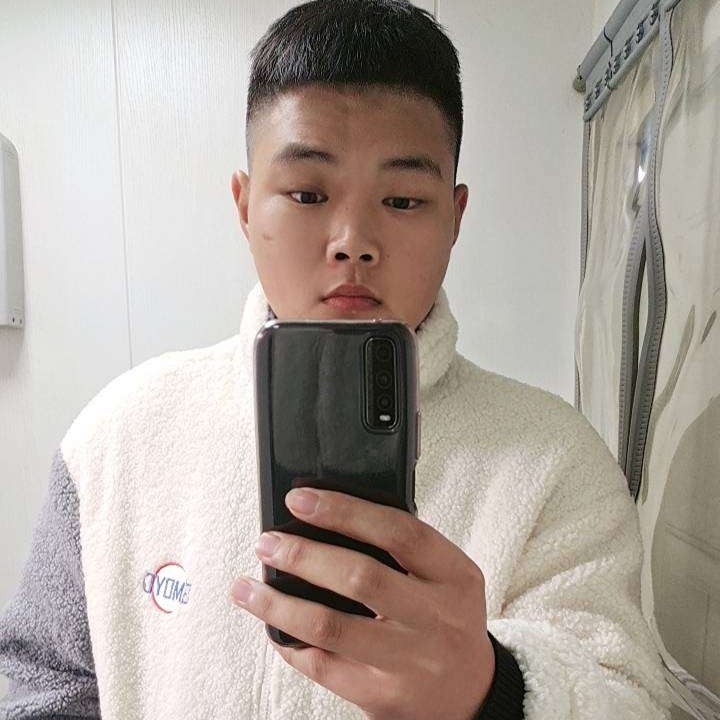 柠檬向约定的照片