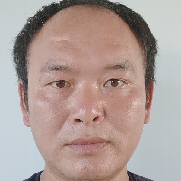 缓慢浅吻小熊猫的照片