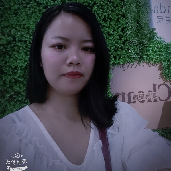 长翅膀的羊的照片