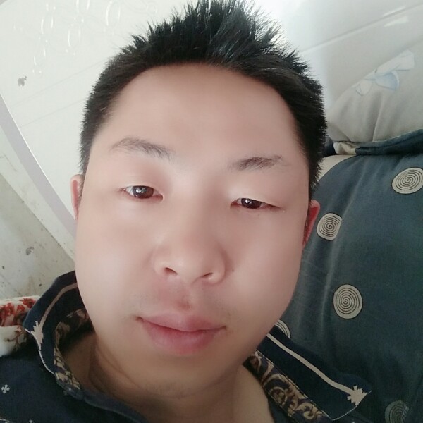康乃馨坦率(๑•的照片