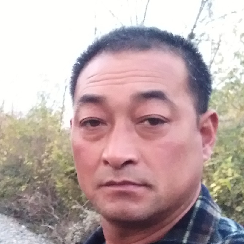 小鸭子爱恋高贵的照片