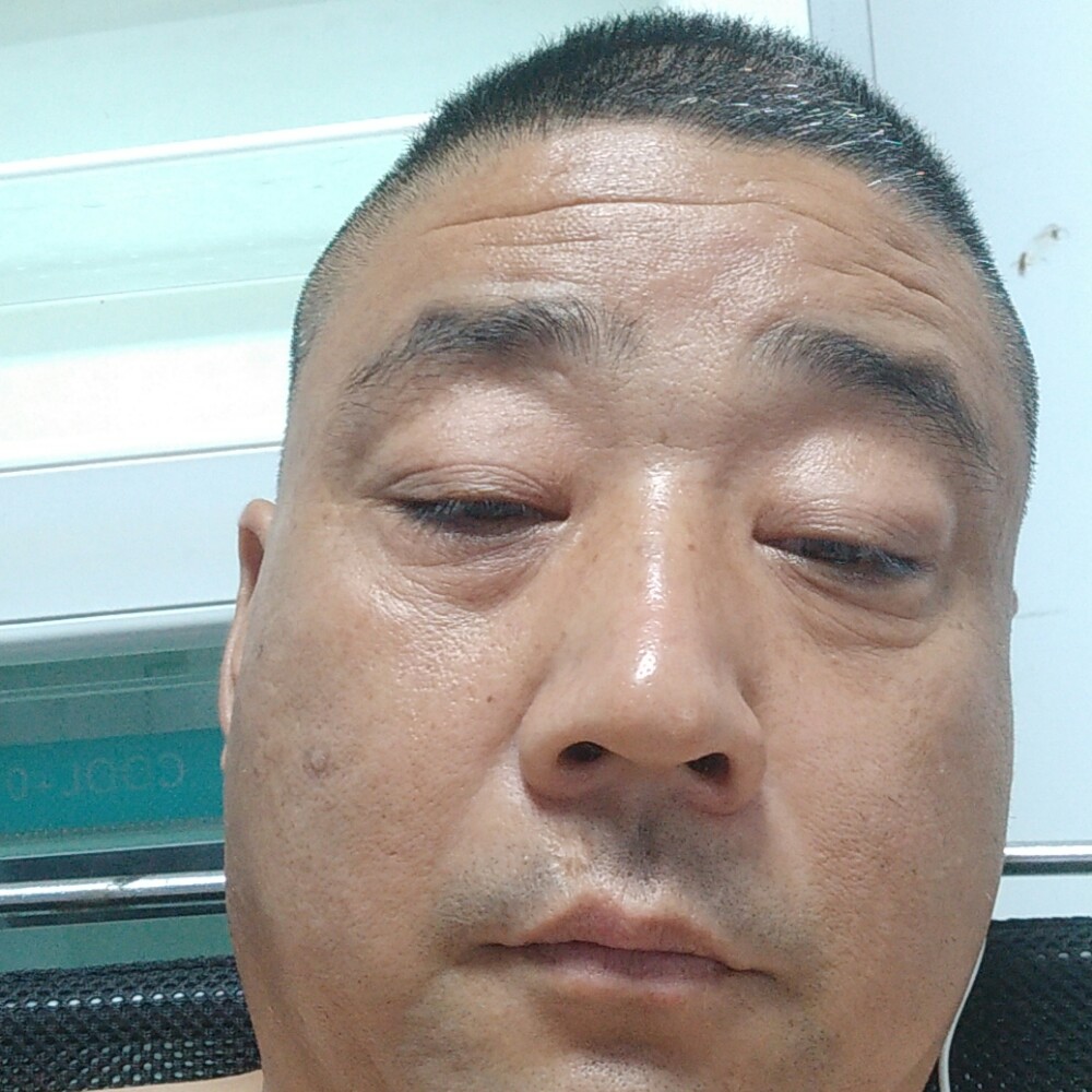 黑猫有有魅力的照片