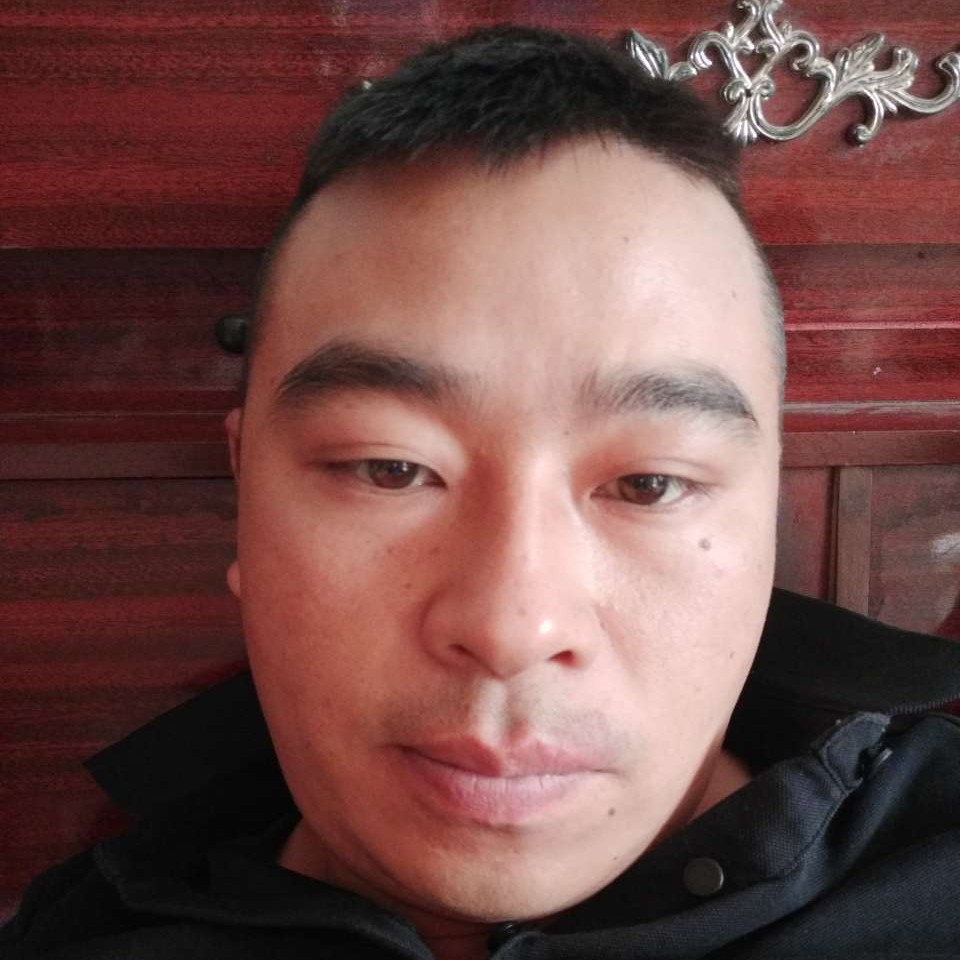 乐观的蜻蜓的照片