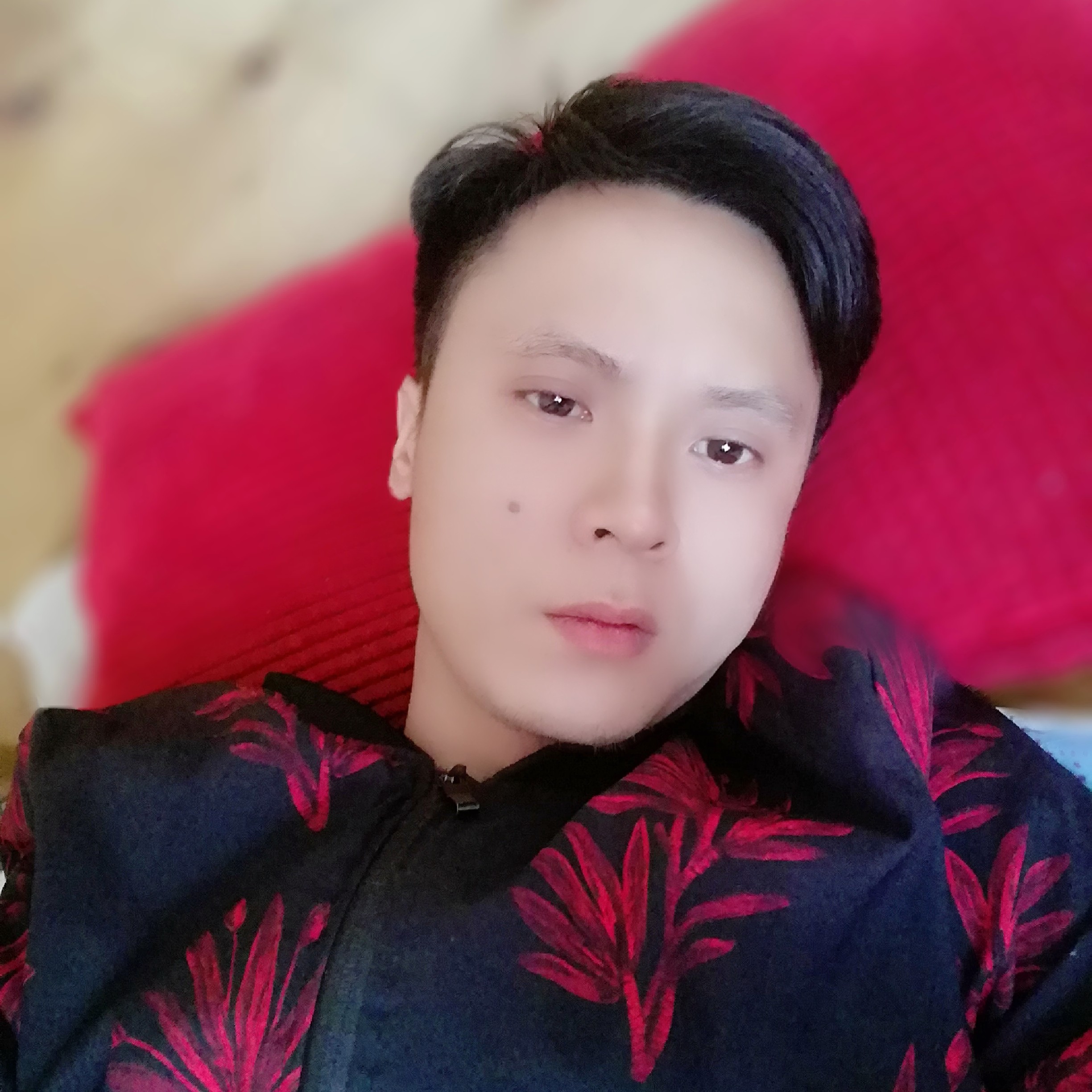 向日葵和幽默的照片