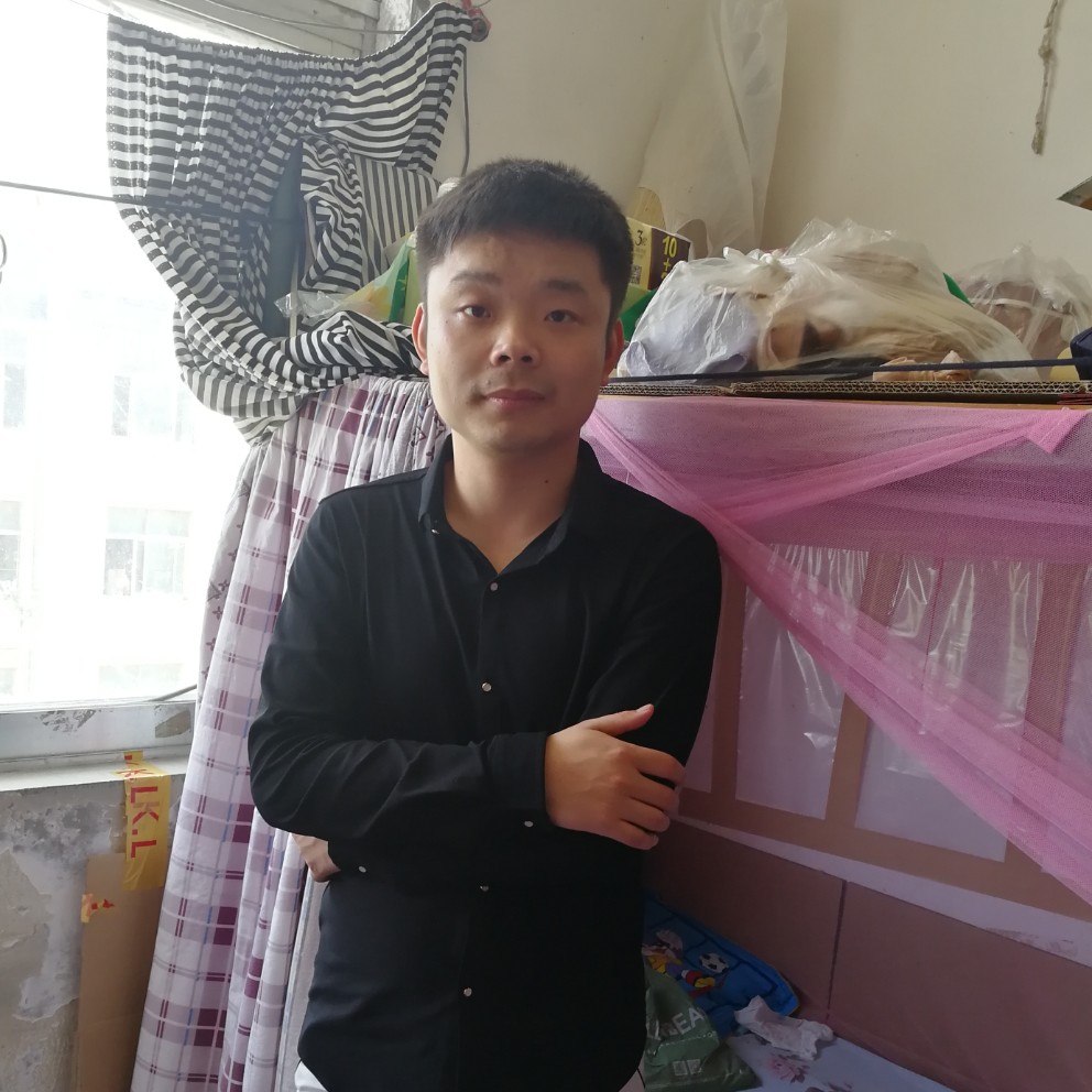 傻傻向日葵的照片