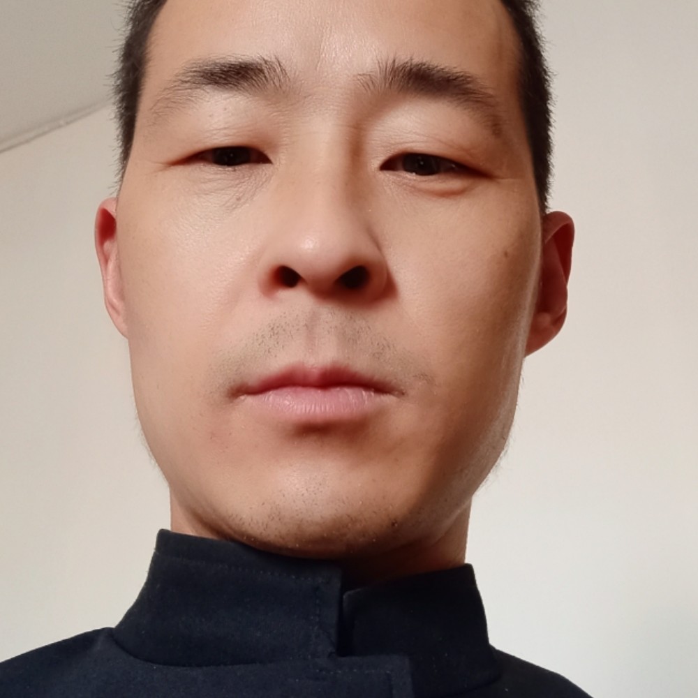 夜幕下的草原狼的照片