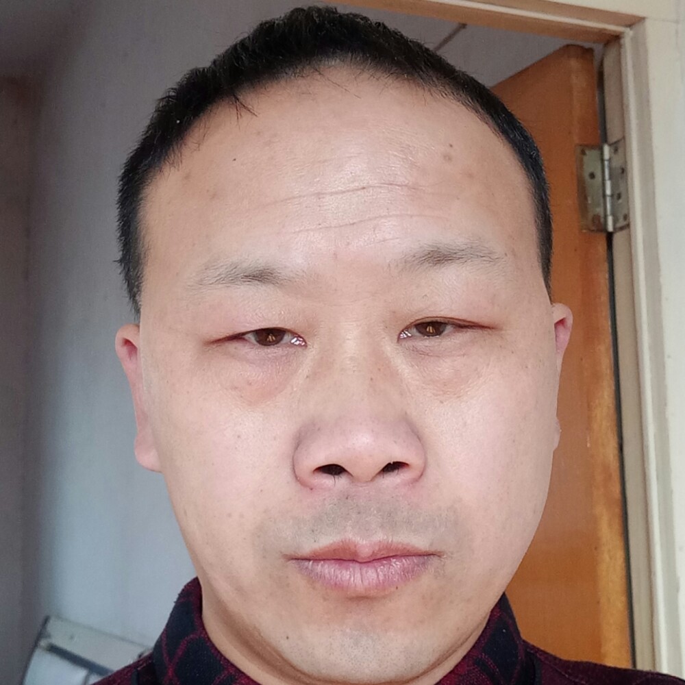 长情猫咪的照片