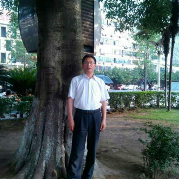 苹果斑马的照片