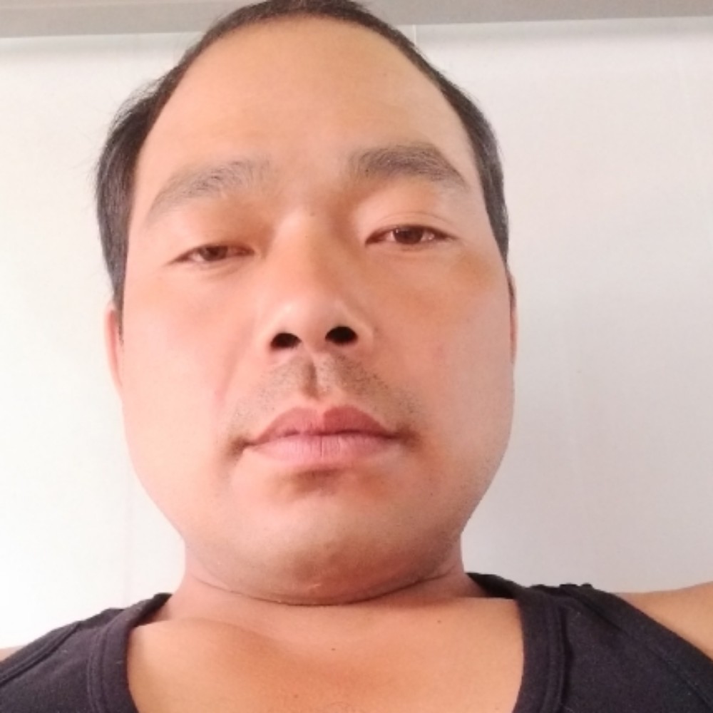 百度不到的笨蛋的照片