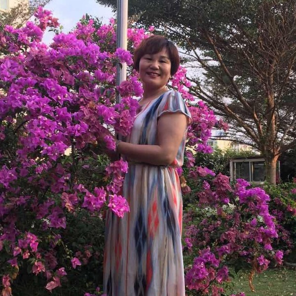 香菇结实的照片